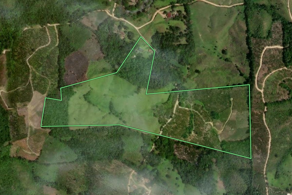 Imagem de satélite do imóvel rural em Cerro Azul (PR), com o contorno declarado no CAR desenhado por cima.