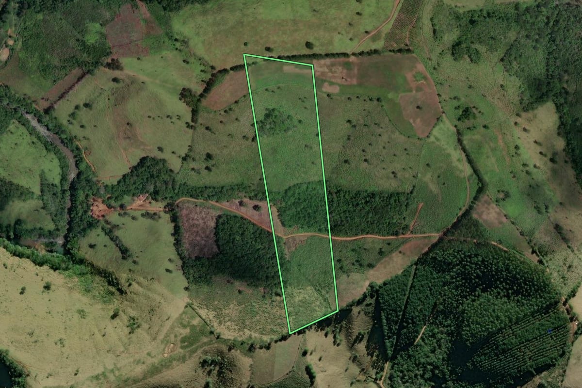 Imagem de satélite do imóvel rural em Cerro Azul (PR), com o contorno declarado no CAR desenhado por cima.