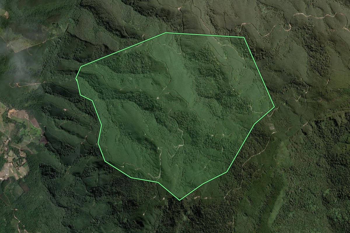 Imagem de satélite do imóvel rural em Cerro Azul (PR), com o contorno declarado no CAR desenhado por cima.