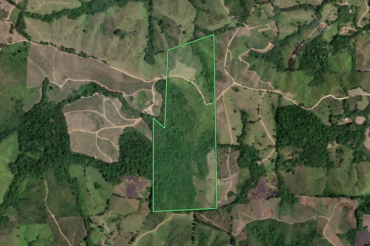 Imagem de satélite do imóvel rural em Cerro Azul (PR), com o contorno declarado no CAR desenhado por cima.