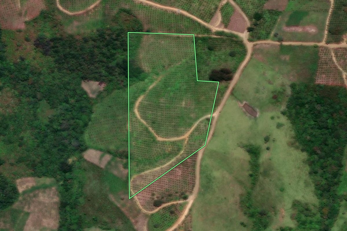 Imagem de satélite do imóvel rural em Cerro Azul (PR), com o contorno declarado no CAR desenhado por cima.