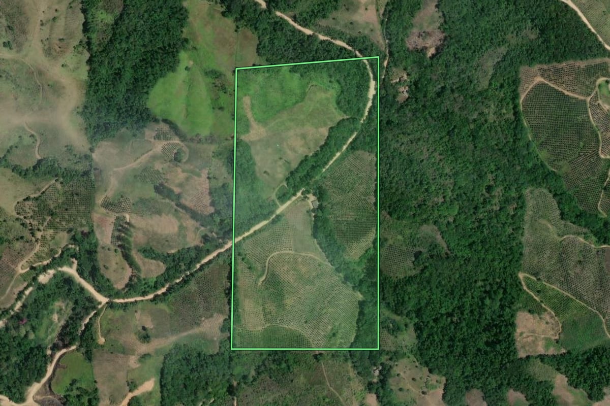 Imagem de satélite do imóvel rural em Cerro Azul (PR), com o contorno declarado no CAR desenhado por cima.