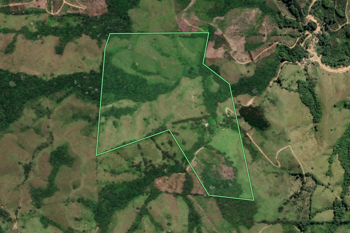 Imagem de satélite do imóvel rural em Cerro Azul (PR), com o contorno declarado no CAR desenhado por cima.