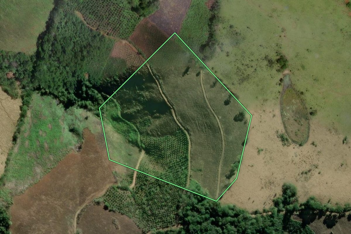 Imagem de satélite do imóvel rural em Cerro Azul (PR), com o contorno declarado no CAR desenhado por cima.