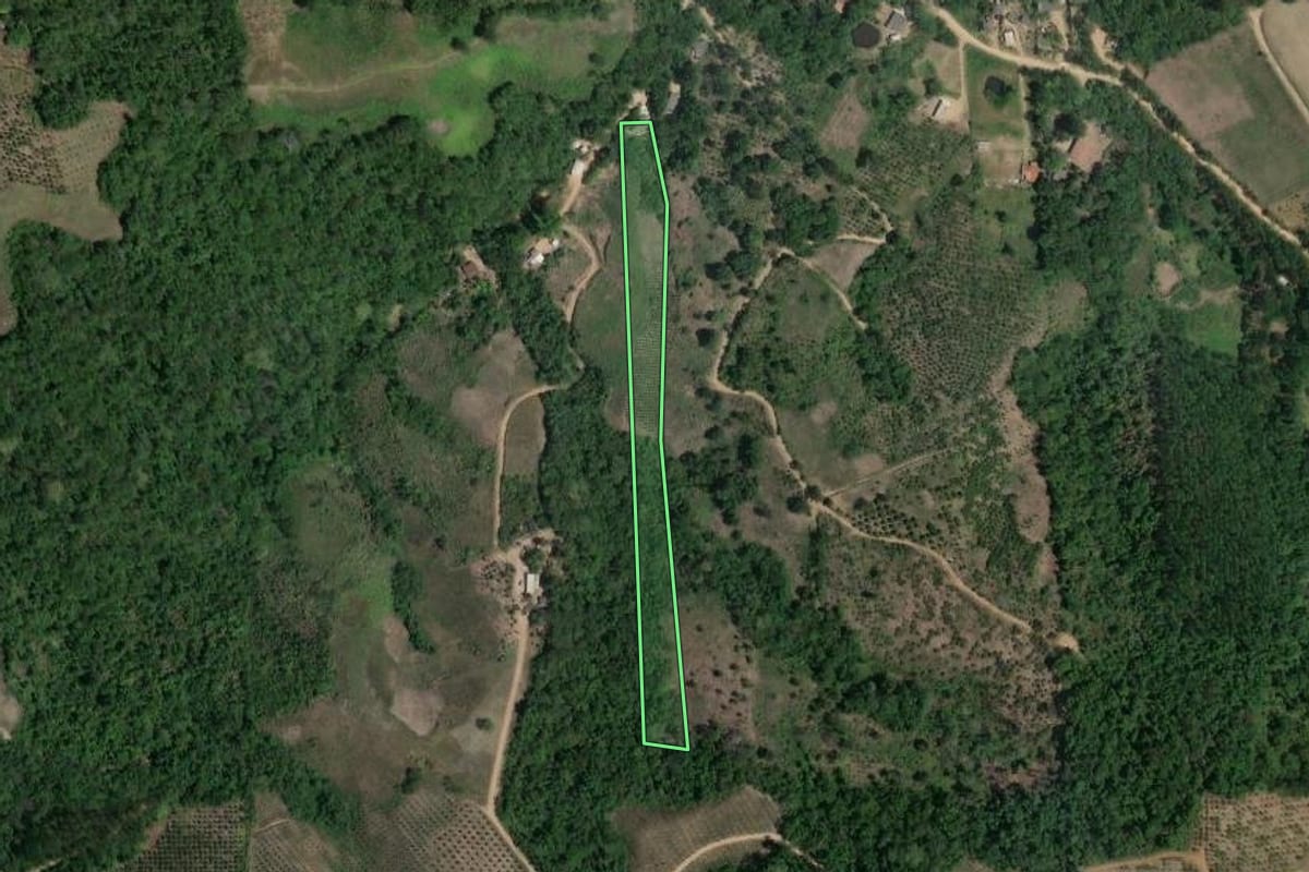 Imagem de satélite do imóvel rural em Cerro Azul (PR), com o contorno declarado no CAR desenhado por cima.