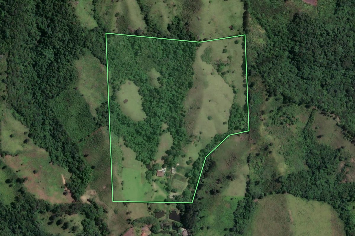 Imagem de satélite do imóvel rural em Cerro Azul (PR), com o contorno declarado no CAR desenhado por cima.