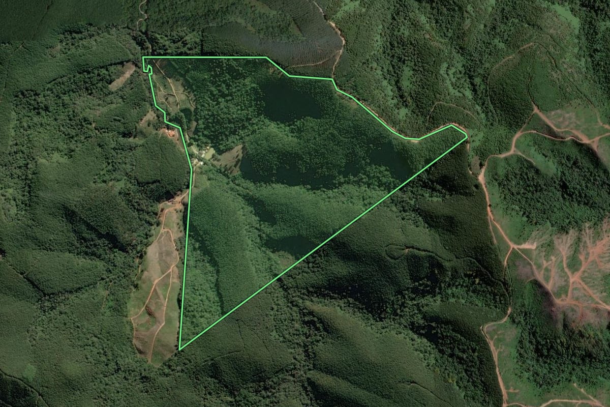 Imagem de satélite do imóvel rural em Cerro Azul (PR), com o contorno declarado no CAR desenhado por cima.