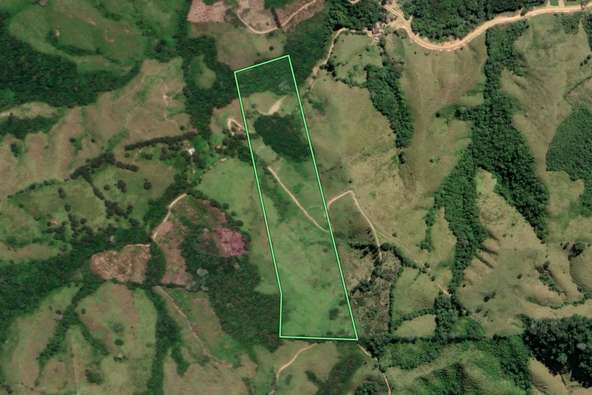 Imagem de satélite do imóvel rural em Cerro Azul (PR), com o contorno declarado no CAR desenhado por cima.
