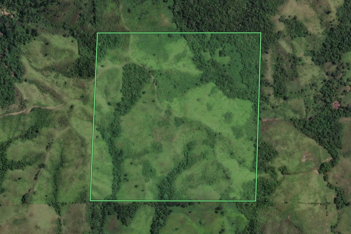 Imagem de satélite do imóvel rural em Cerro Azul (PR), com o contorno declarado no CAR desenhado por cima.