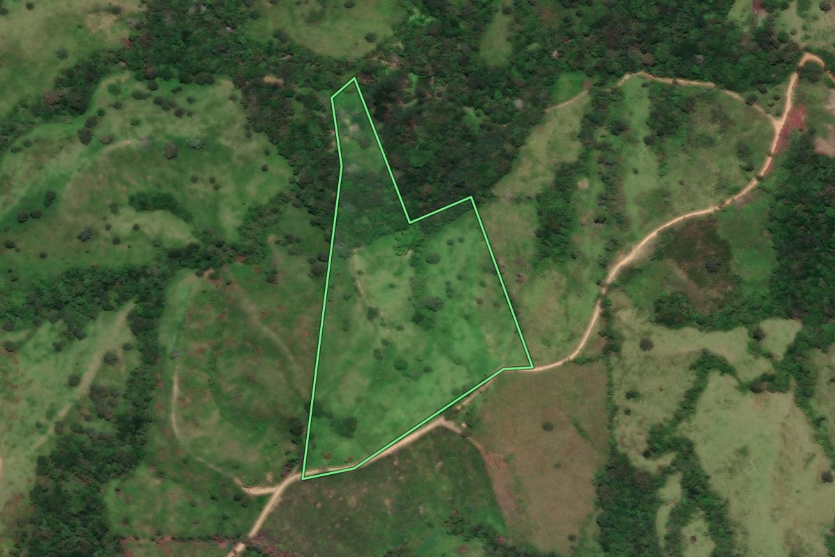 Imagem de satélite do imóvel rural em Cerro Azul (PR), com o contorno declarado no CAR desenhado por cima.