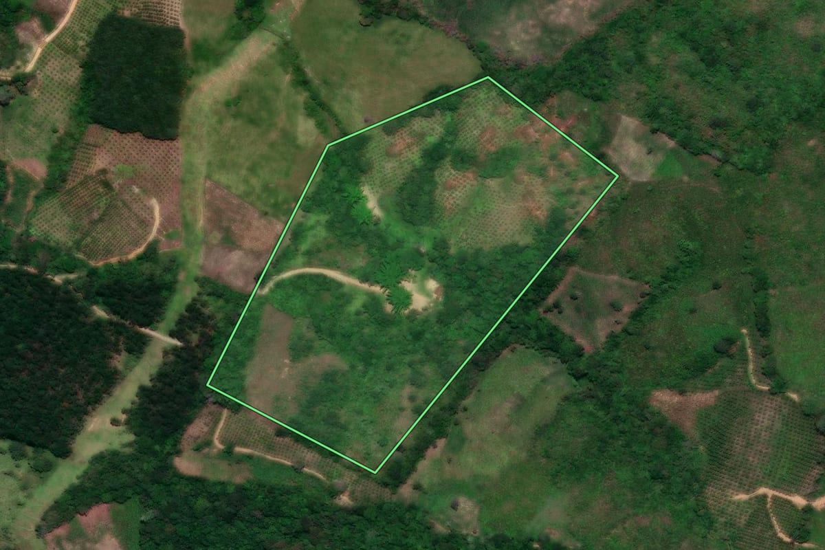 Imagem de satélite do imóvel rural em Cerro Azul (PR), com o contorno declarado no CAR desenhado por cima.