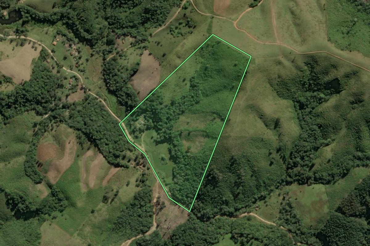 Imagem de satélite do imóvel rural em Cerro Azul (PR), com o contorno declarado no CAR desenhado por cima.