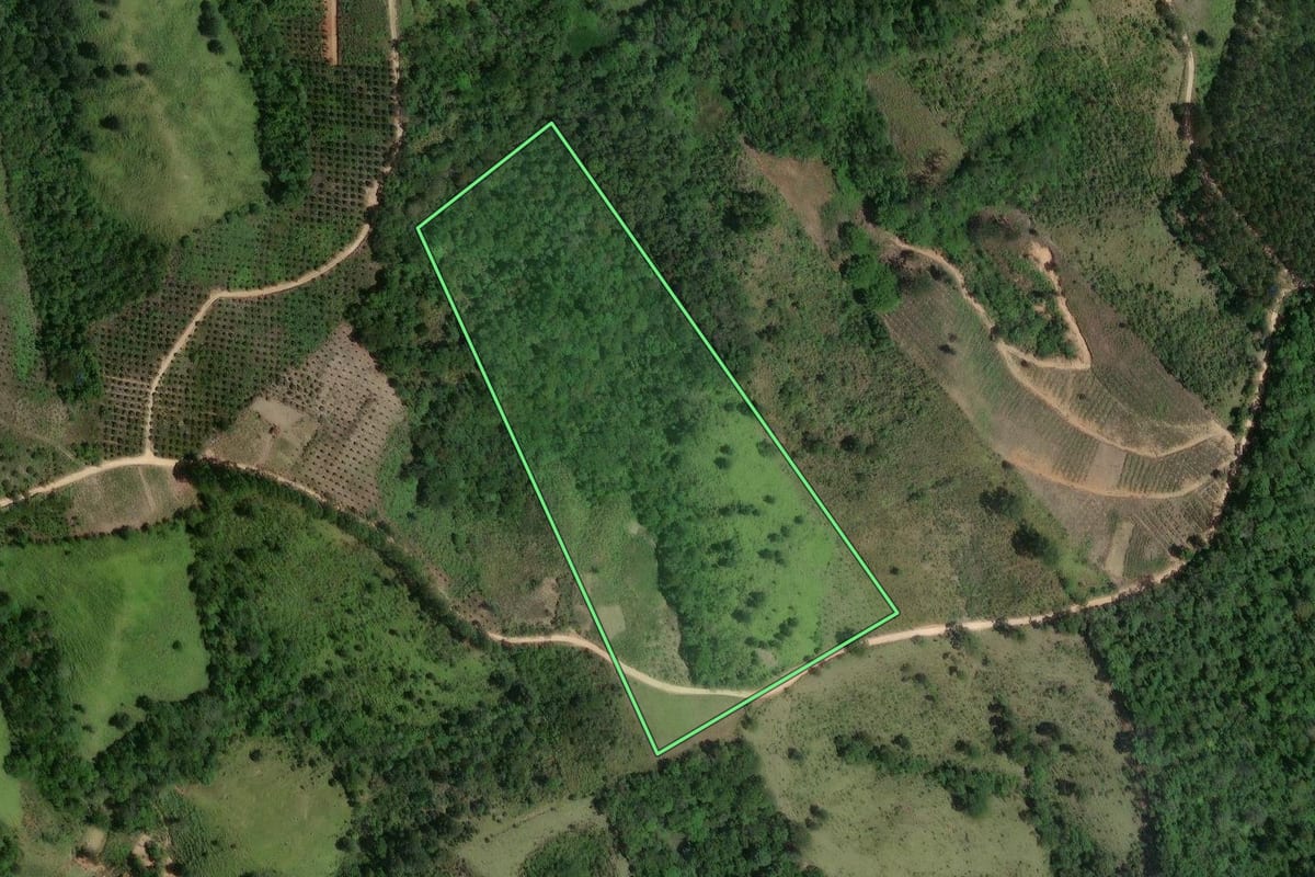 Imagem de satélite do imóvel rural em Cerro Azul (PR), com o contorno declarado no CAR desenhado por cima.