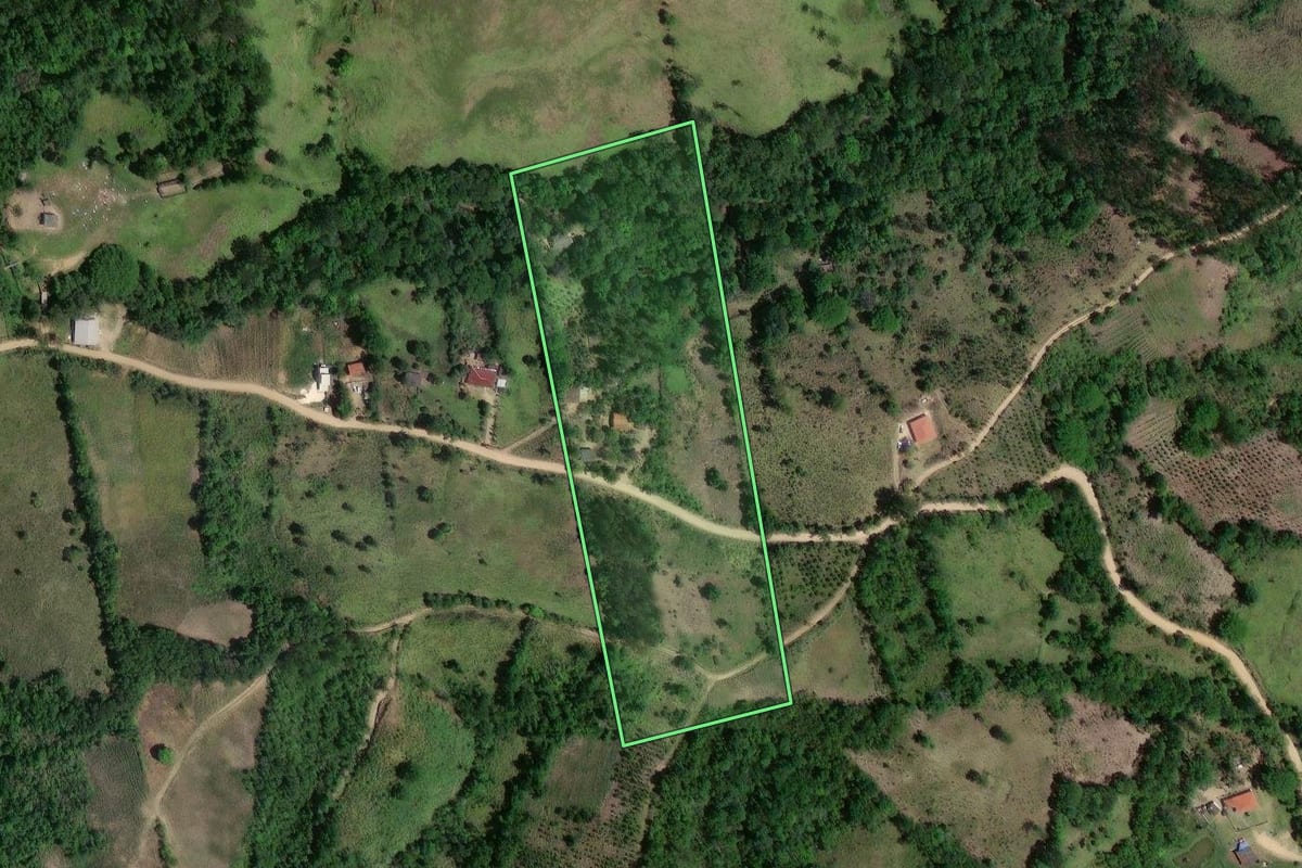 Imagem de satélite do imóvel rural em Cerro Azul (PR), com o contorno declarado no CAR desenhado por cima.