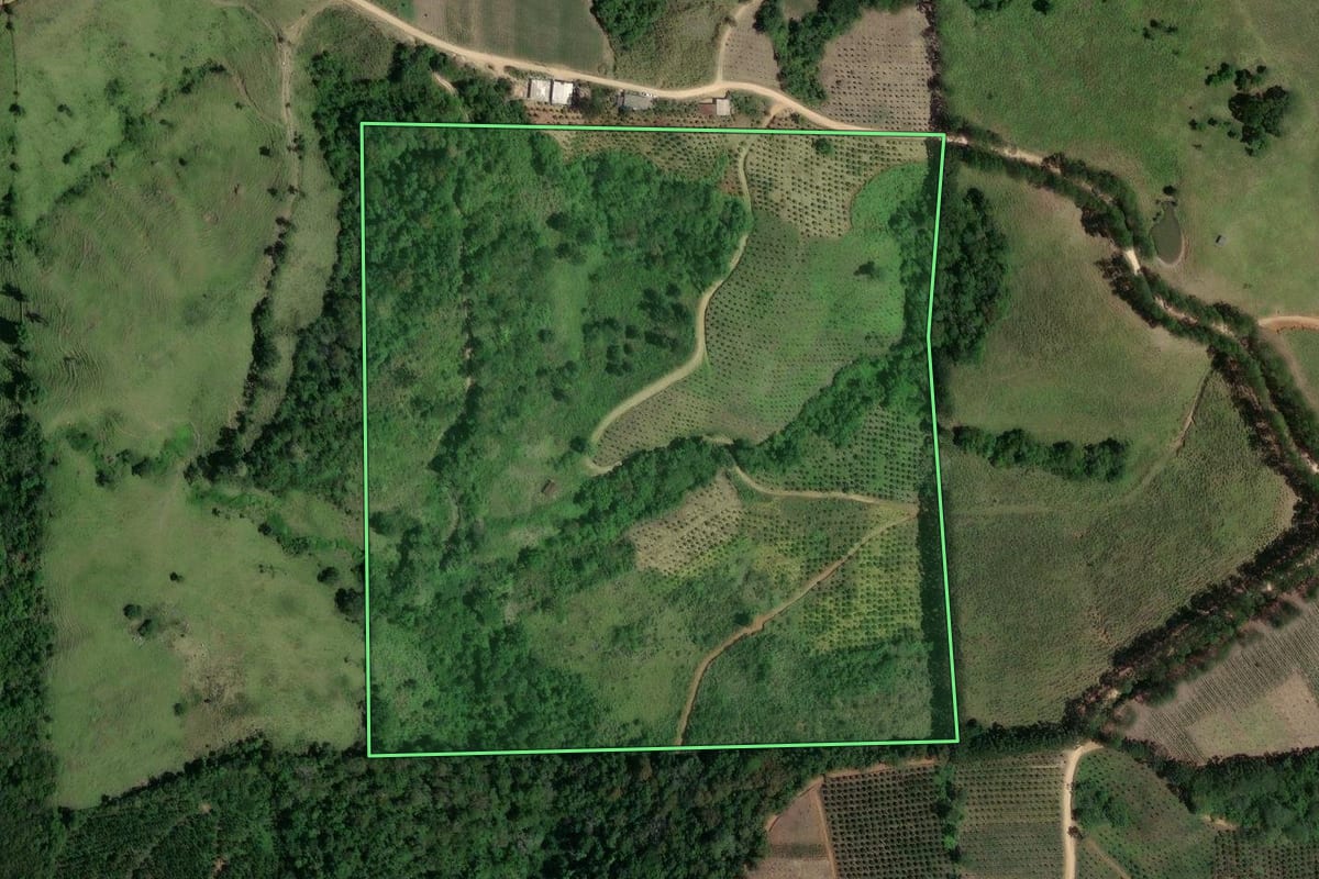 Imagem de satélite do imóvel rural em Cerro Azul (PR), com o contorno declarado no CAR desenhado por cima.