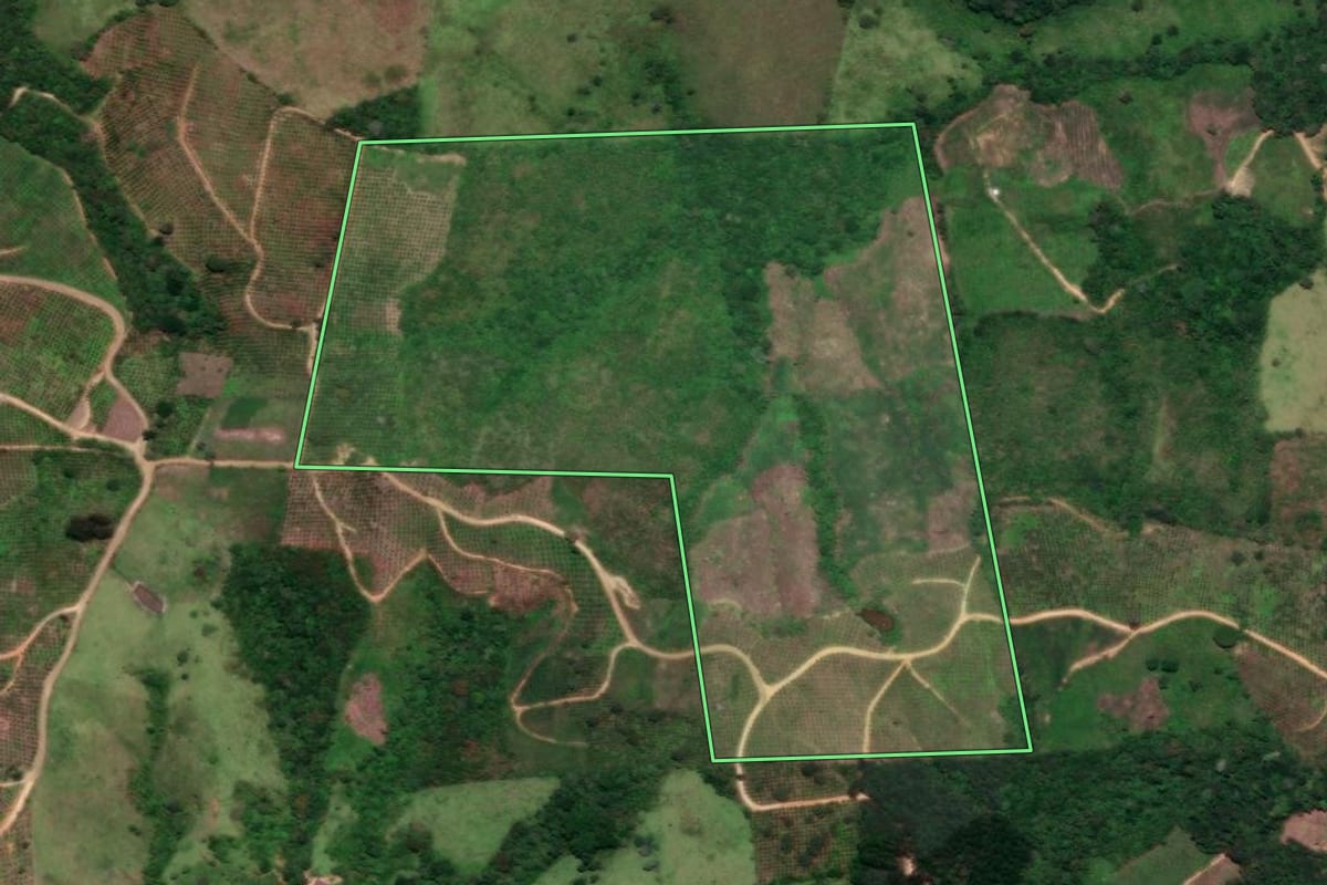 Imagem de satélite do imóvel rural em Cerro Azul (PR), com o contorno declarado no CAR desenhado por cima.