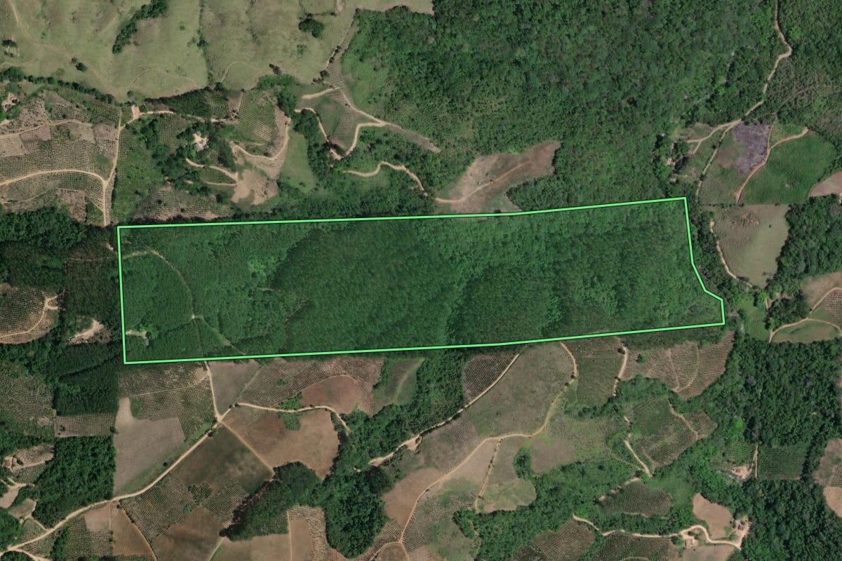 Imagem de satélite do imóvel rural em Cerro Azul (PR), com o contorno declarado no CAR desenhado por cima.