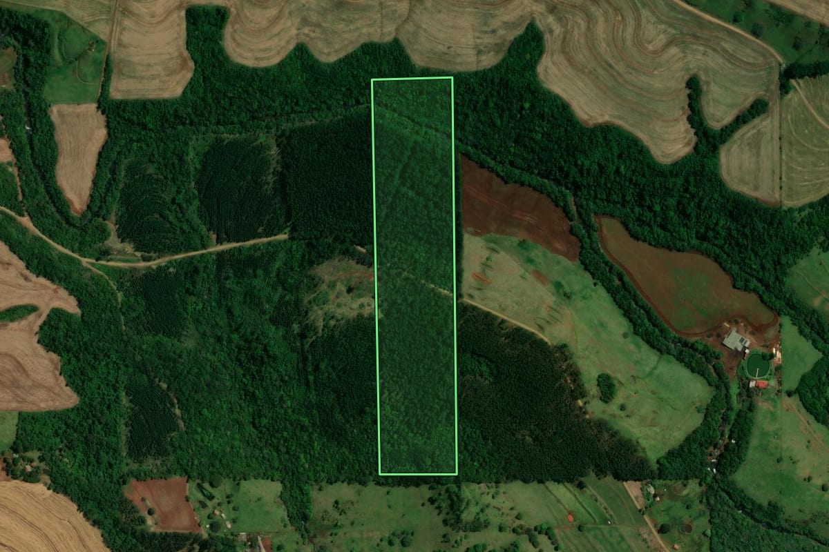 Imagem de satélite do imóvel rural em Céu Azul (PR), com o contorno declarado no CAR desenhado por cima.
