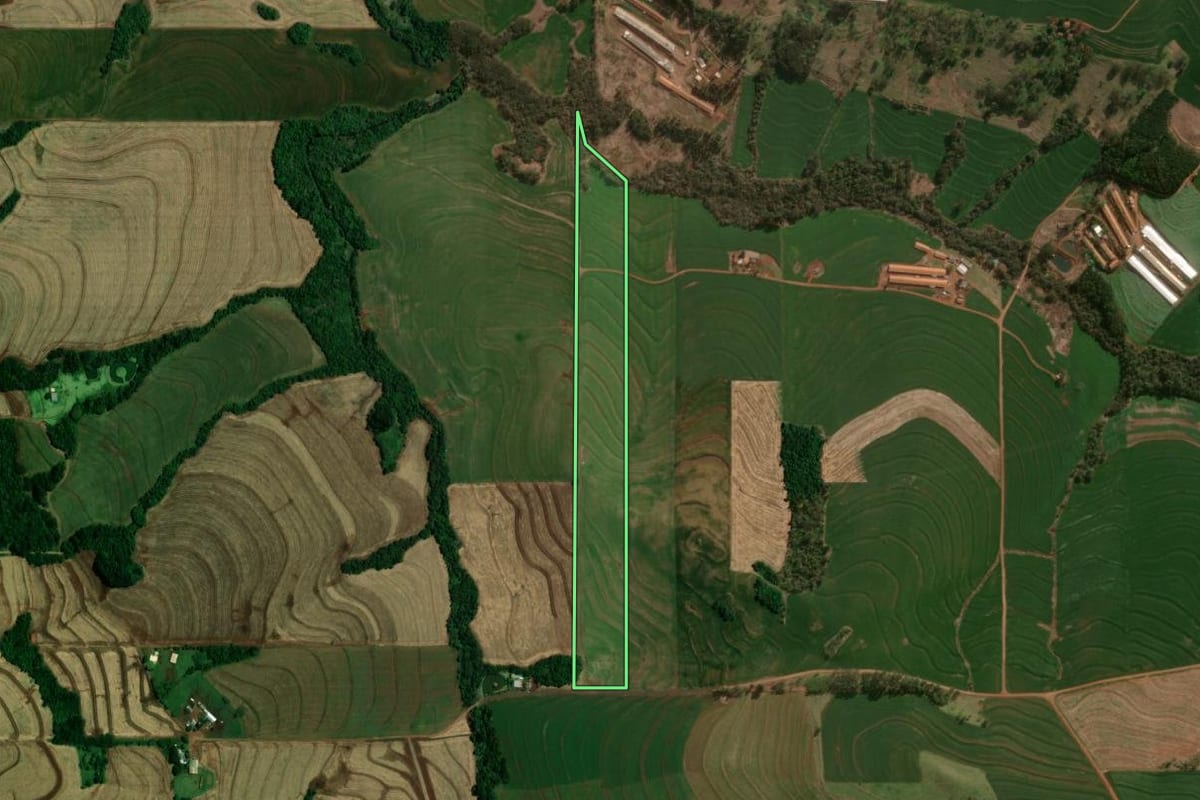 Imagem de satélite do imóvel rural em Céu Azul (PR), com o contorno declarado no CAR desenhado por cima.
