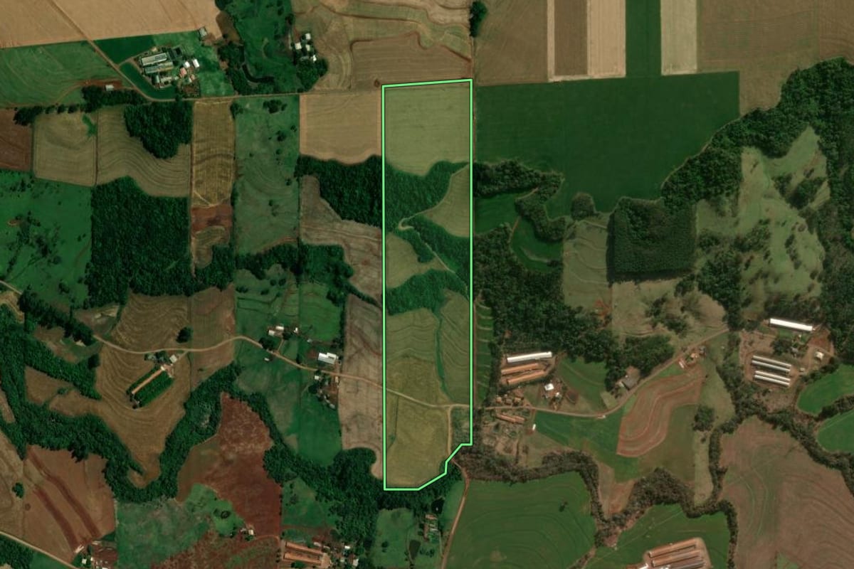 Imagem de satélite do imóvel rural em Céu Azul (PR), com o contorno declarado no CAR desenhado por cima.