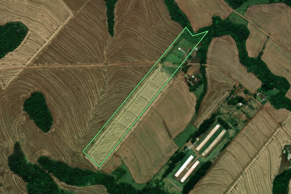 Imagem de satélite do imóvel rural em Céu Azul (PR), com o contorno declarado no CAR desenhado por cima.