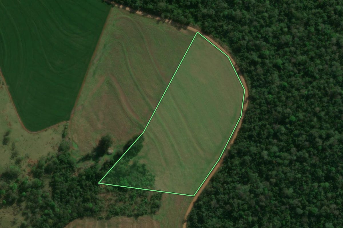 Imagem de satélite do imóvel rural em Céu Azul (PR), com o contorno declarado no CAR desenhado por cima.