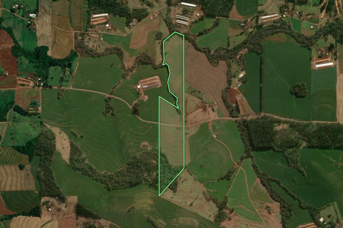 Imagem de satélite do imóvel rural em Céu Azul (PR), com o contorno declarado no CAR desenhado por cima.