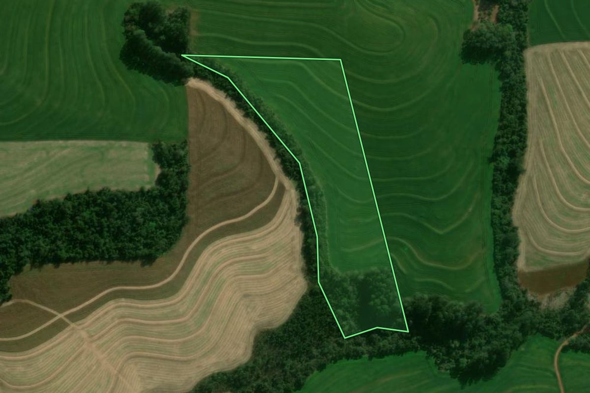 Imagem de satélite do imóvel rural em Céu Azul (PR), com o contorno declarado no CAR desenhado por cima.