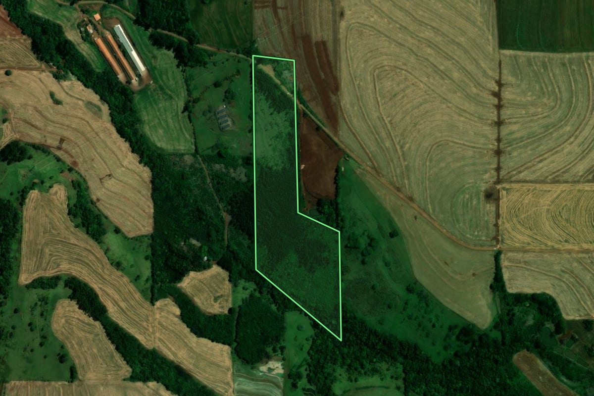 Imagem de satélite do imóvel rural em Céu Azul (PR), com o contorno declarado no CAR desenhado por cima.