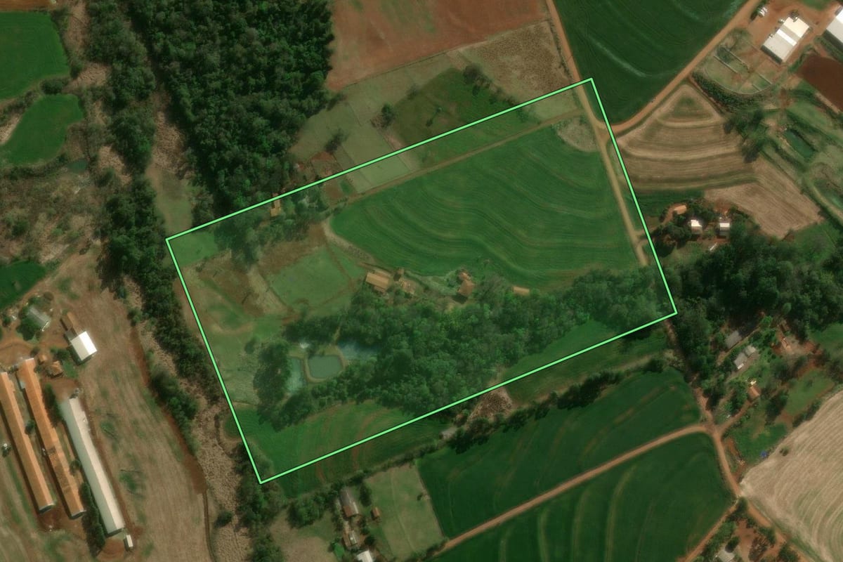 Imagem de satélite do imóvel rural em Céu Azul (PR), com o contorno declarado no CAR desenhado por cima.