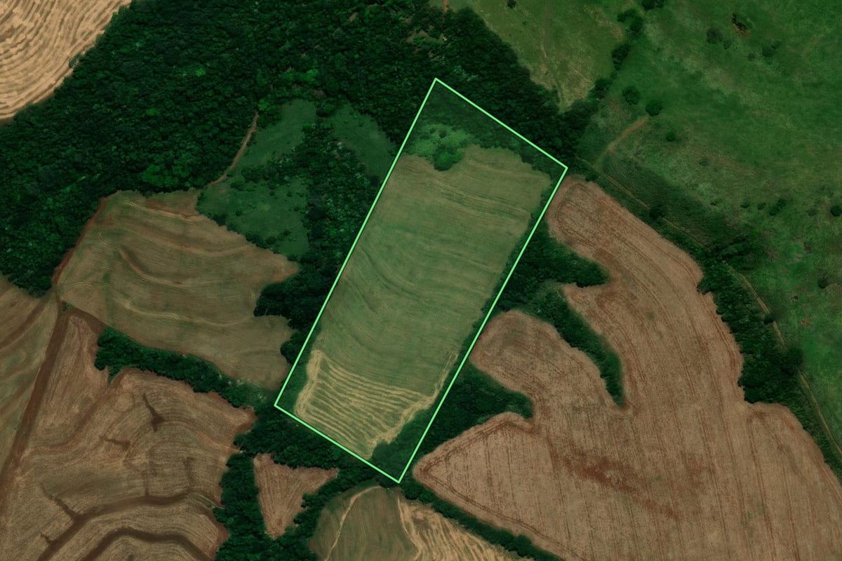 Imagem de satélite do imóvel rural em Céu Azul (PR), com o contorno declarado no CAR desenhado por cima.
