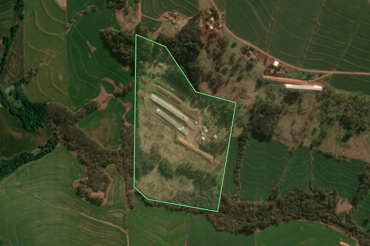 Imagem de satélite do imóvel rural em Céu Azul (PR), com o contorno declarado no CAR desenhado por cima.