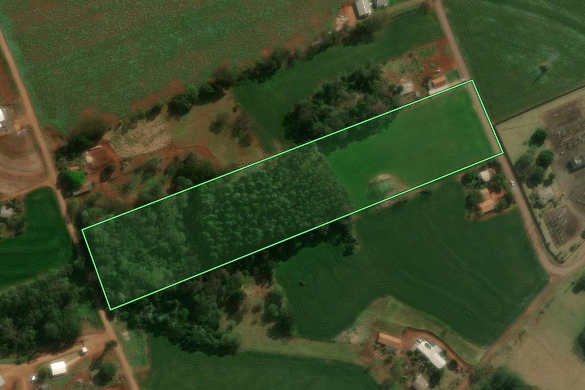Imagem de satélite do imóvel rural em Céu Azul (PR), com o contorno declarado no CAR desenhado por cima.