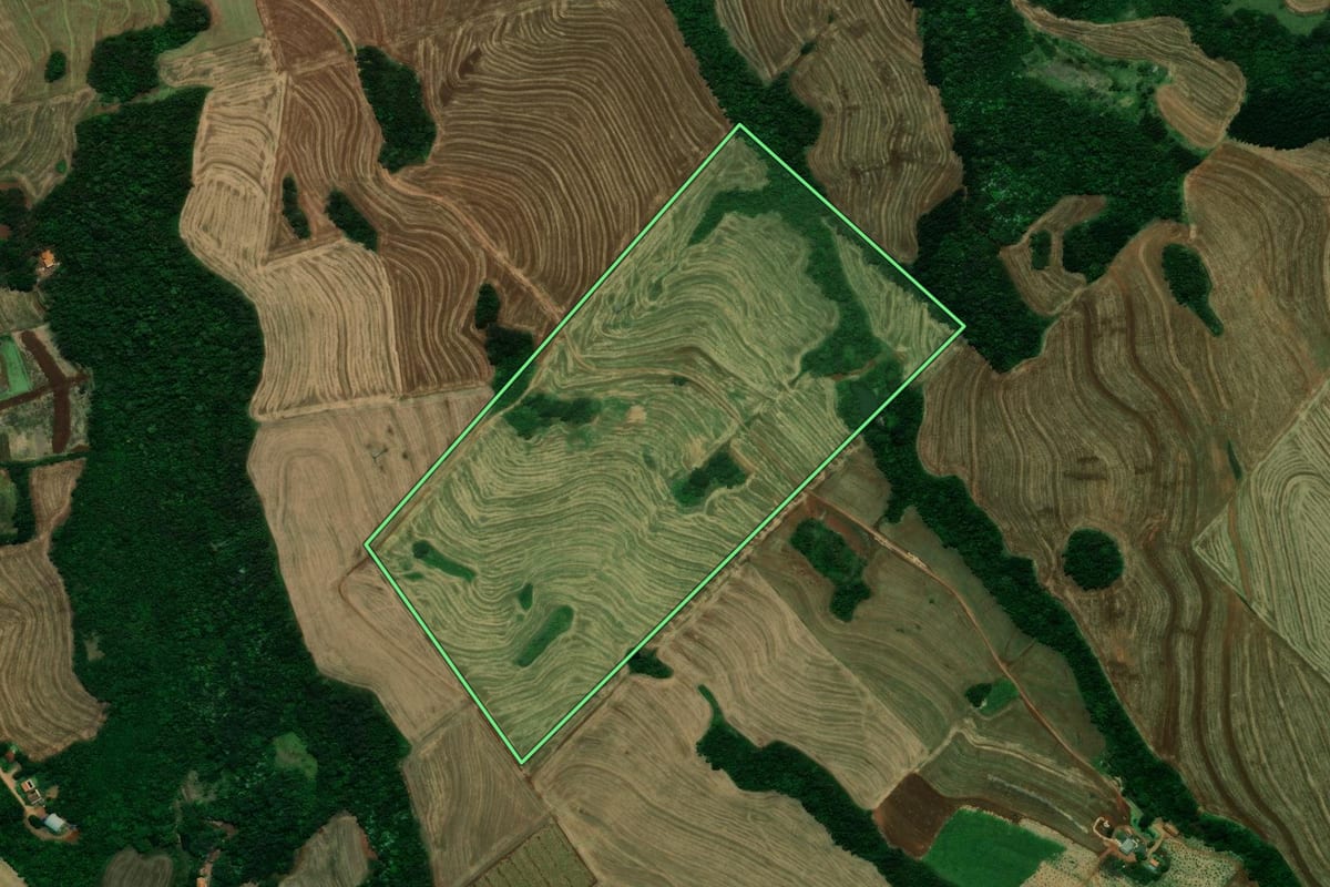 Imagem de satélite do imóvel rural em Céu Azul (PR), com o contorno declarado no CAR desenhado por cima.