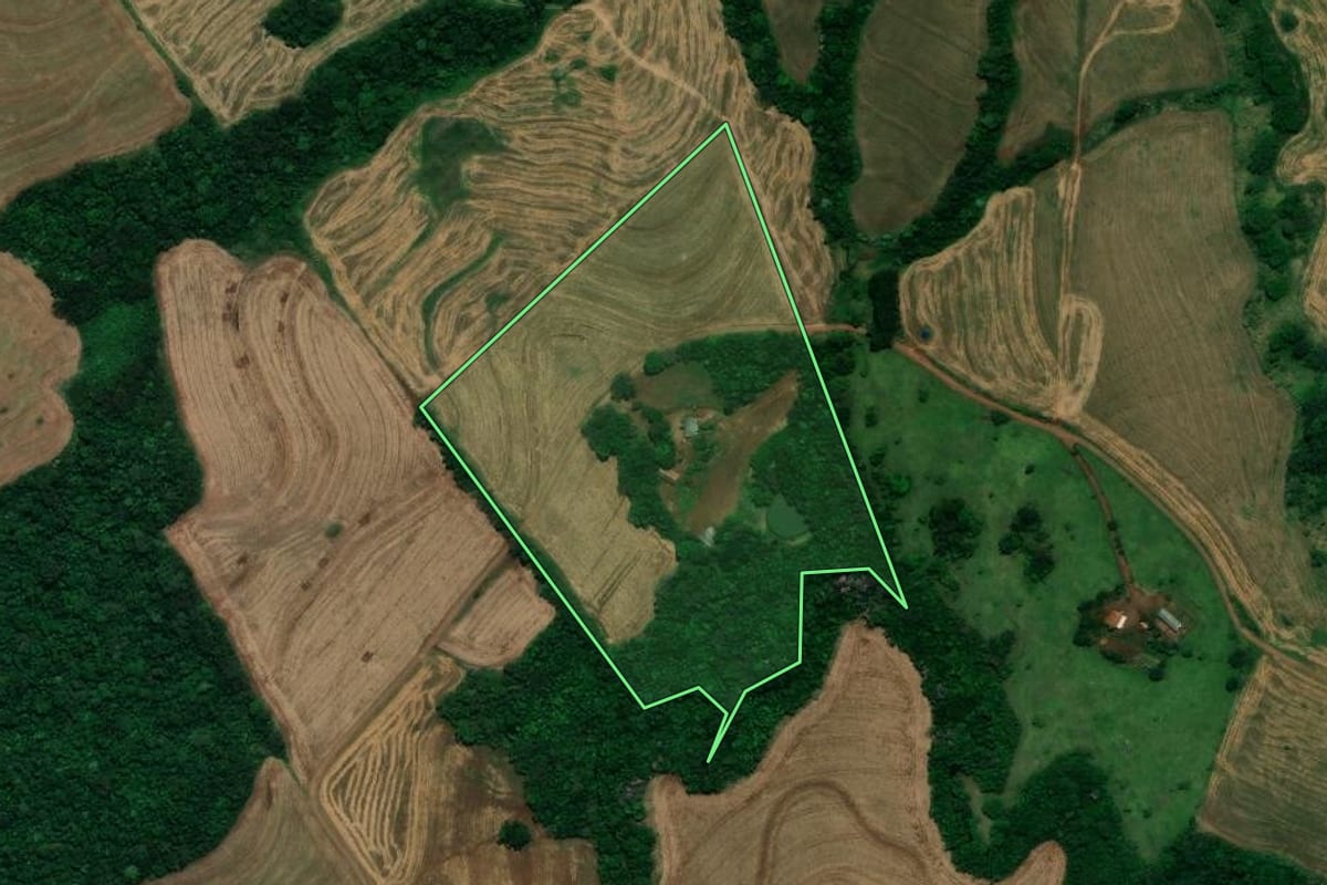 Imagem de satélite do imóvel rural em Céu Azul (PR), com o contorno declarado no CAR desenhado por cima.