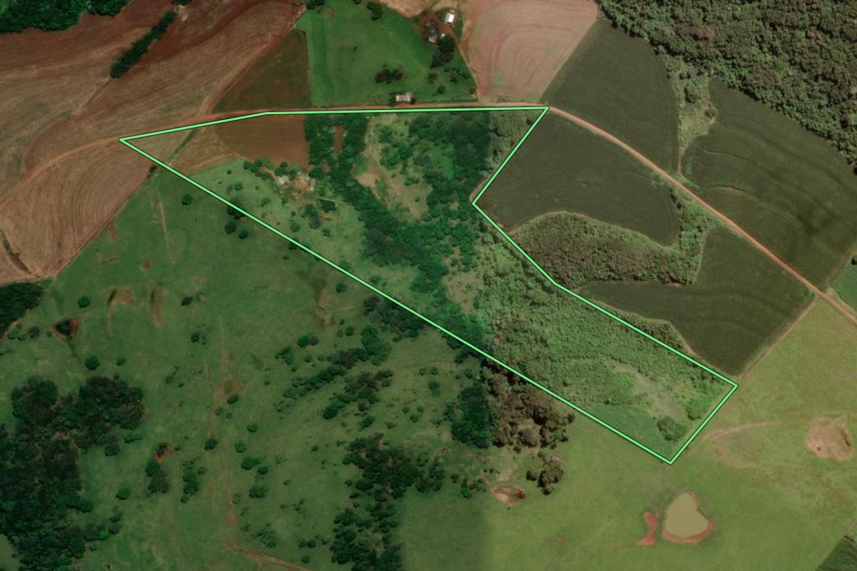 Imagem de satélite do imóvel rural em Céu Azul (PR), com o contorno declarado no CAR desenhado por cima.