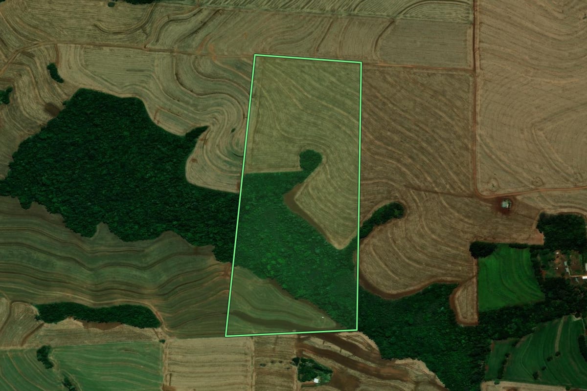Imagem de satélite do imóvel rural em Céu Azul (PR), com o contorno declarado no CAR desenhado por cima.