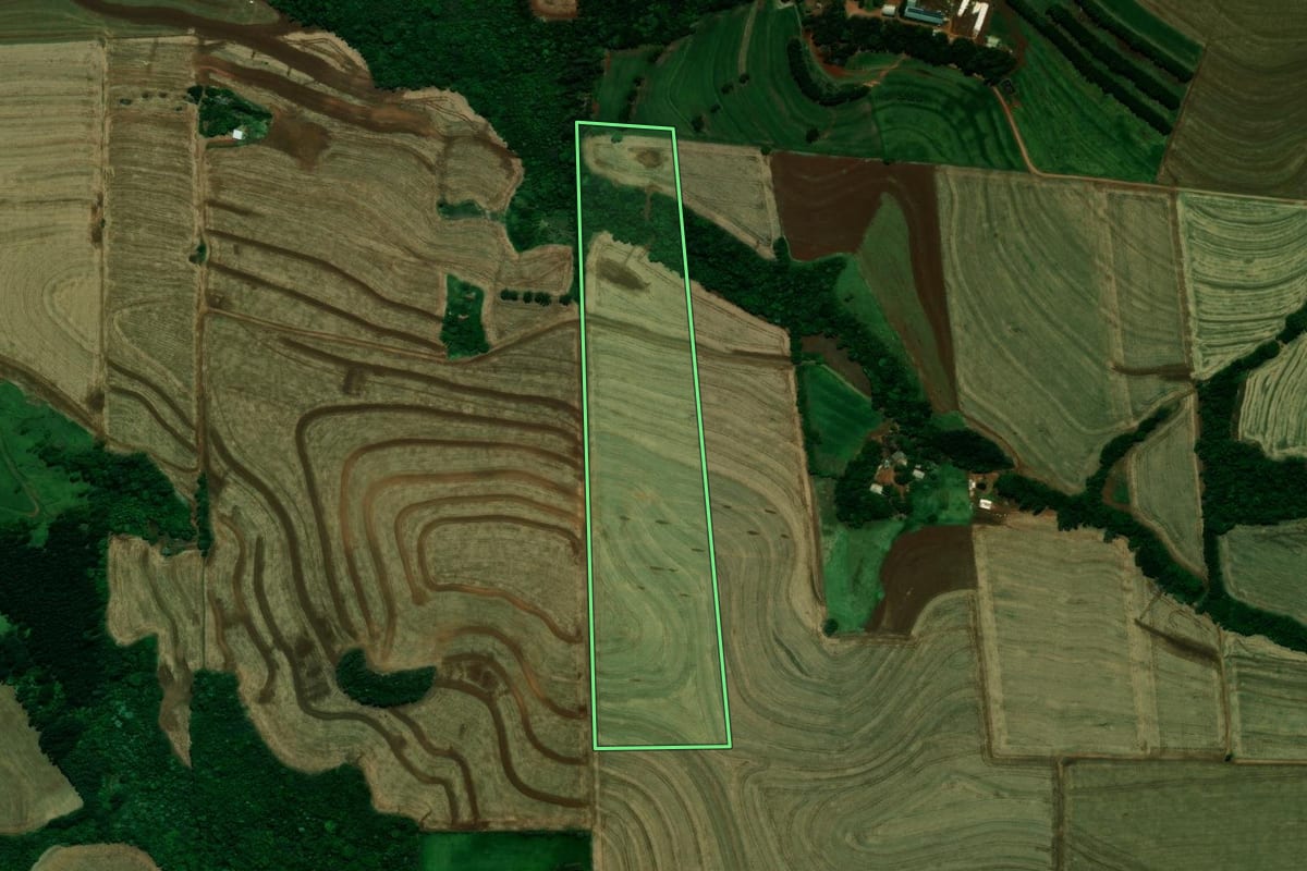 Imagem de satélite do imóvel rural em Céu Azul (PR), com o contorno declarado no CAR desenhado por cima.