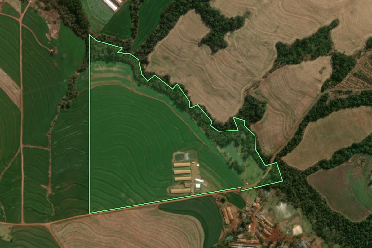 Imagem de satélite do imóvel rural em Céu Azul (PR), com o contorno declarado no CAR desenhado por cima.