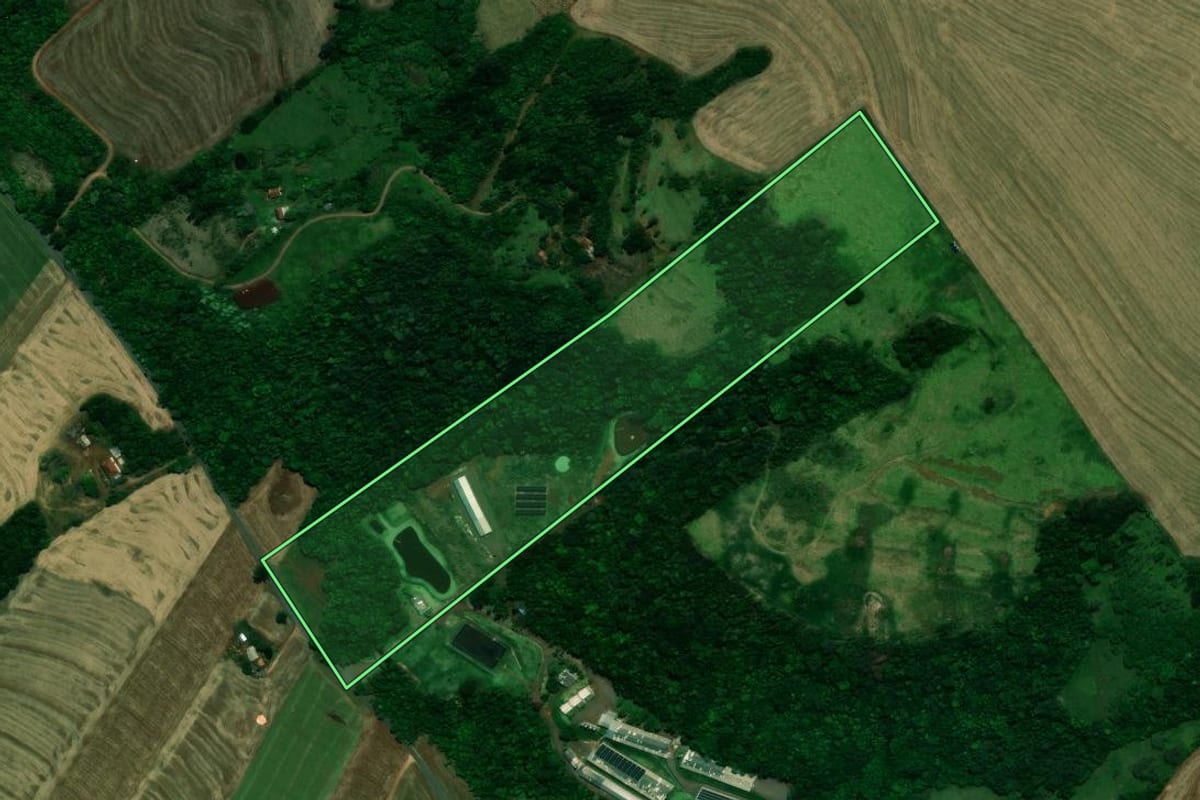 Imagem de satélite do imóvel rural em Céu Azul (PR), com o contorno declarado no CAR desenhado por cima.