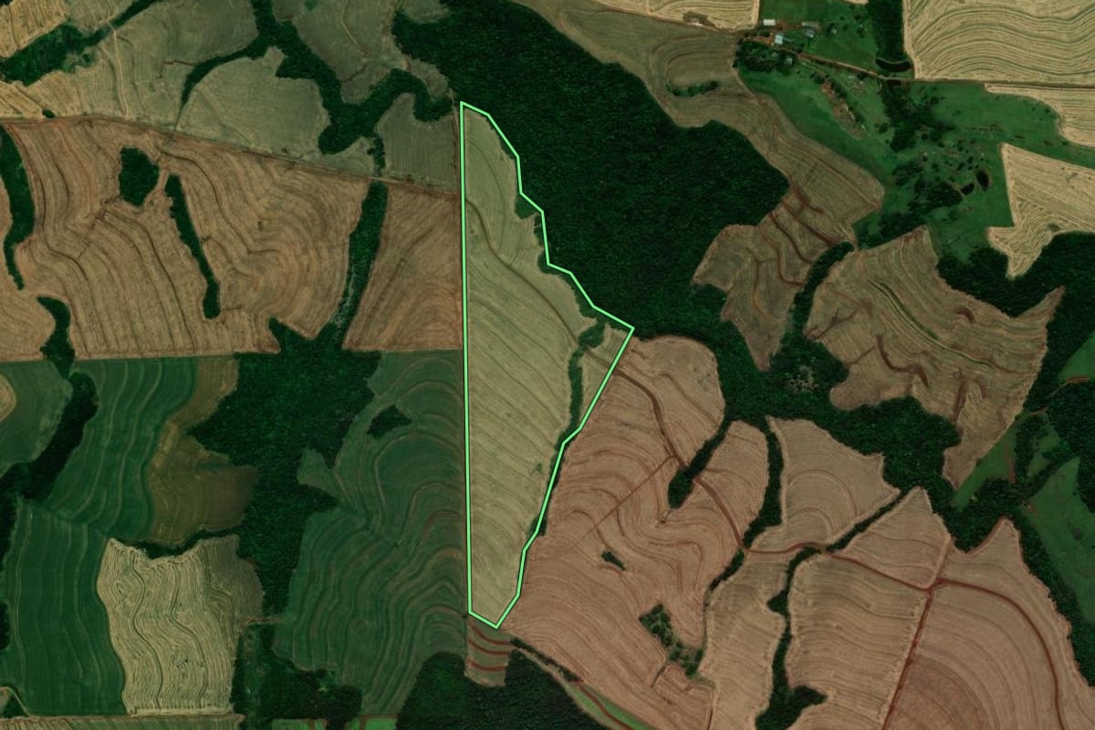 Imagem de satélite do imóvel rural em Céu Azul (PR), com o contorno declarado no CAR desenhado por cima.