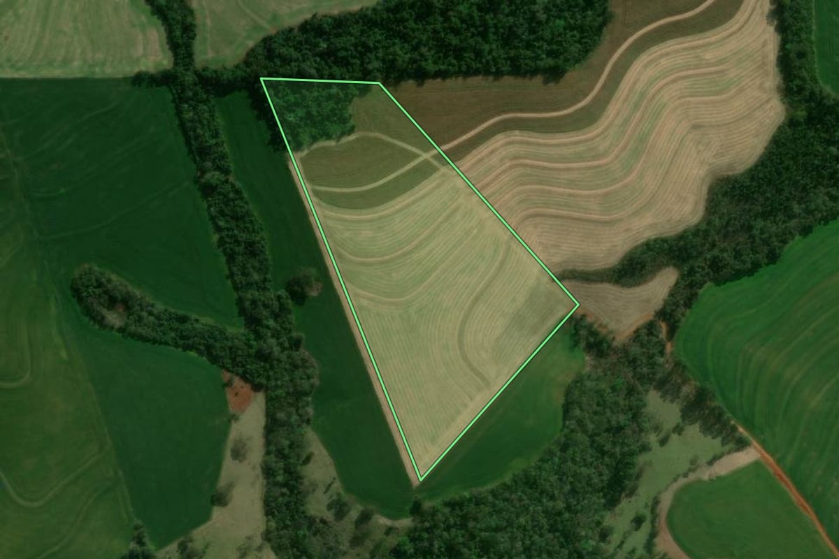 Imagem de satélite do imóvel rural em Céu Azul (PR), com o contorno declarado no CAR desenhado por cima.