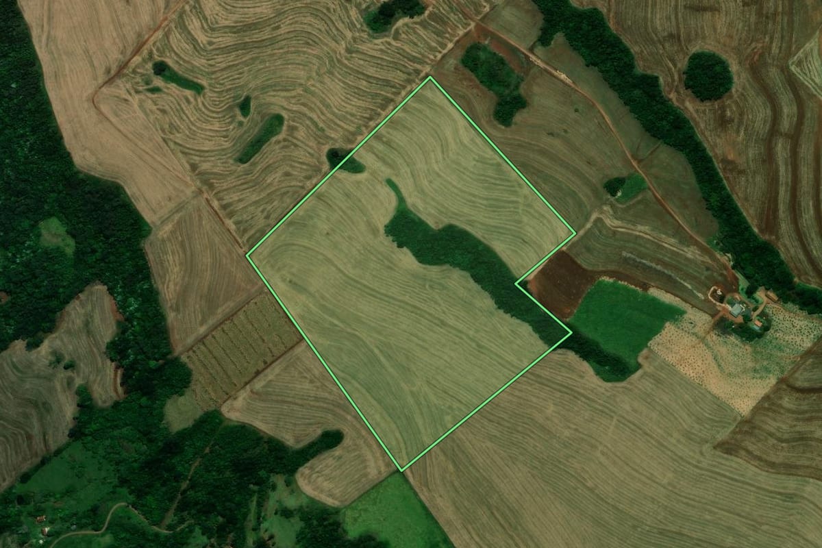 Imagem de satélite do imóvel rural em Céu Azul (PR), com o contorno declarado no CAR desenhado por cima.