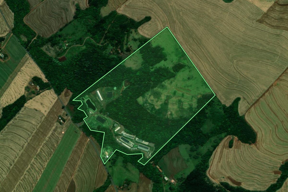 Imagem de satélite do imóvel rural em Céu Azul (PR), com o contorno declarado no CAR desenhado por cima.