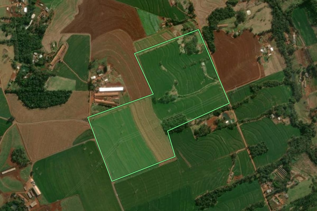 Imagem de satélite do imóvel rural em Céu Azul (PR), com o contorno declarado no CAR desenhado por cima.