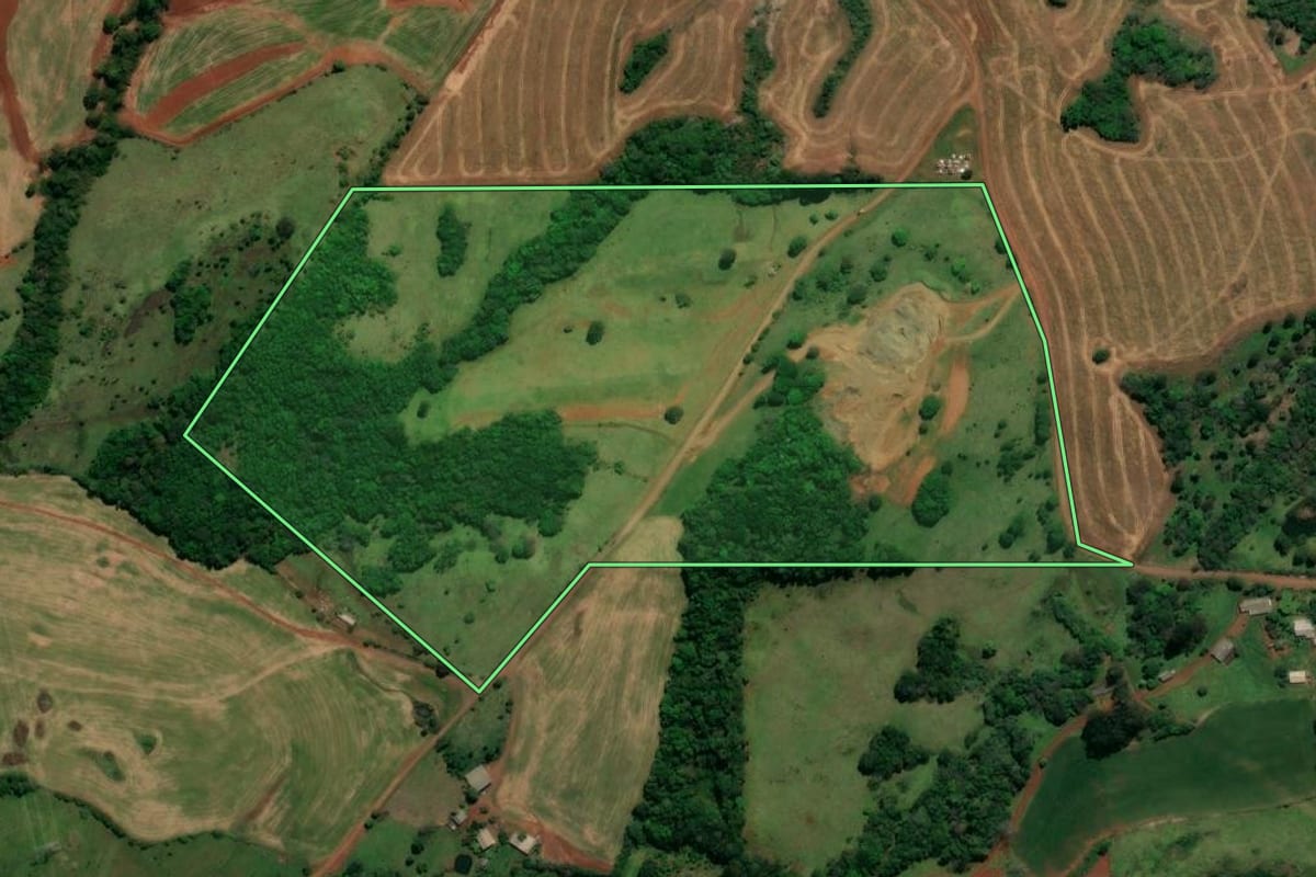 Imagem de satélite do imóvel rural em Chopinzinho (PR), com o contorno declarado no CAR desenhado por cima.