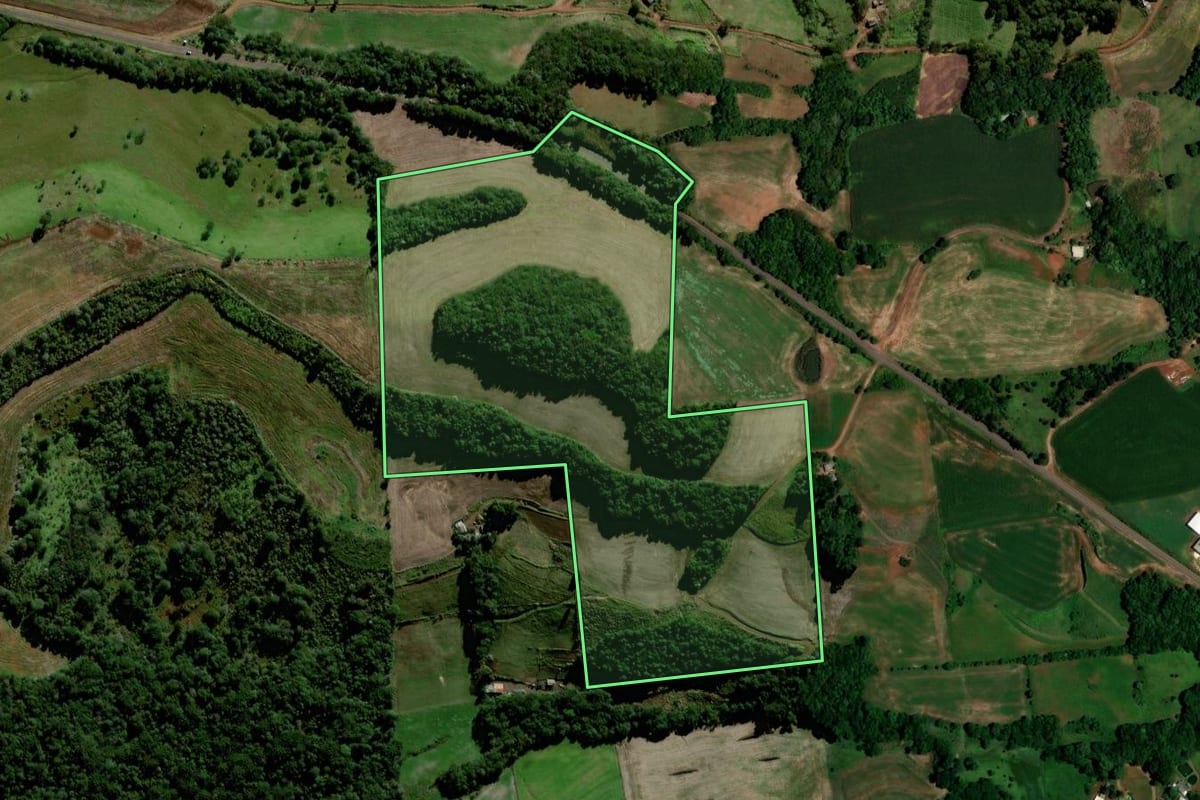 Imagem de satélite do imóvel rural em Chopinzinho (PR), com o contorno declarado no CAR desenhado por cima.