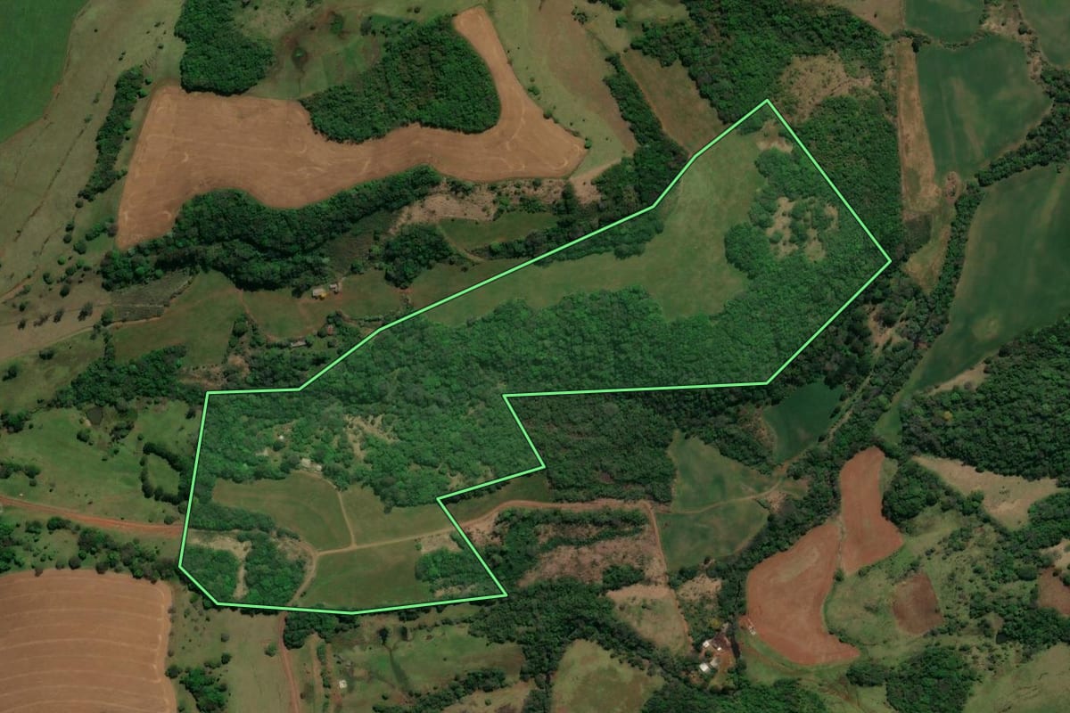 Imagem de satélite do imóvel rural em Chopinzinho (PR), com o contorno declarado no CAR desenhado por cima.