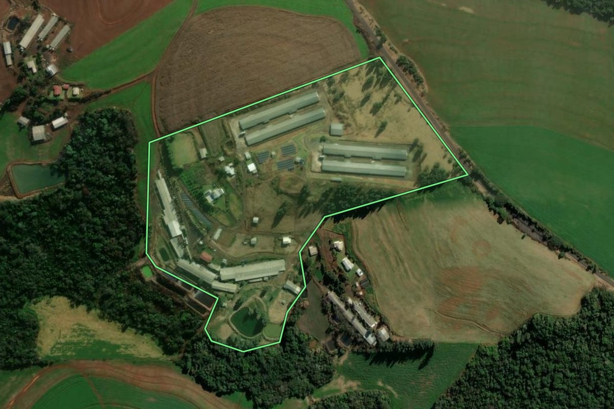 Imagem de satélite do imóvel rural em Chopinzinho (PR), com o contorno declarado no CAR desenhado por cima.
