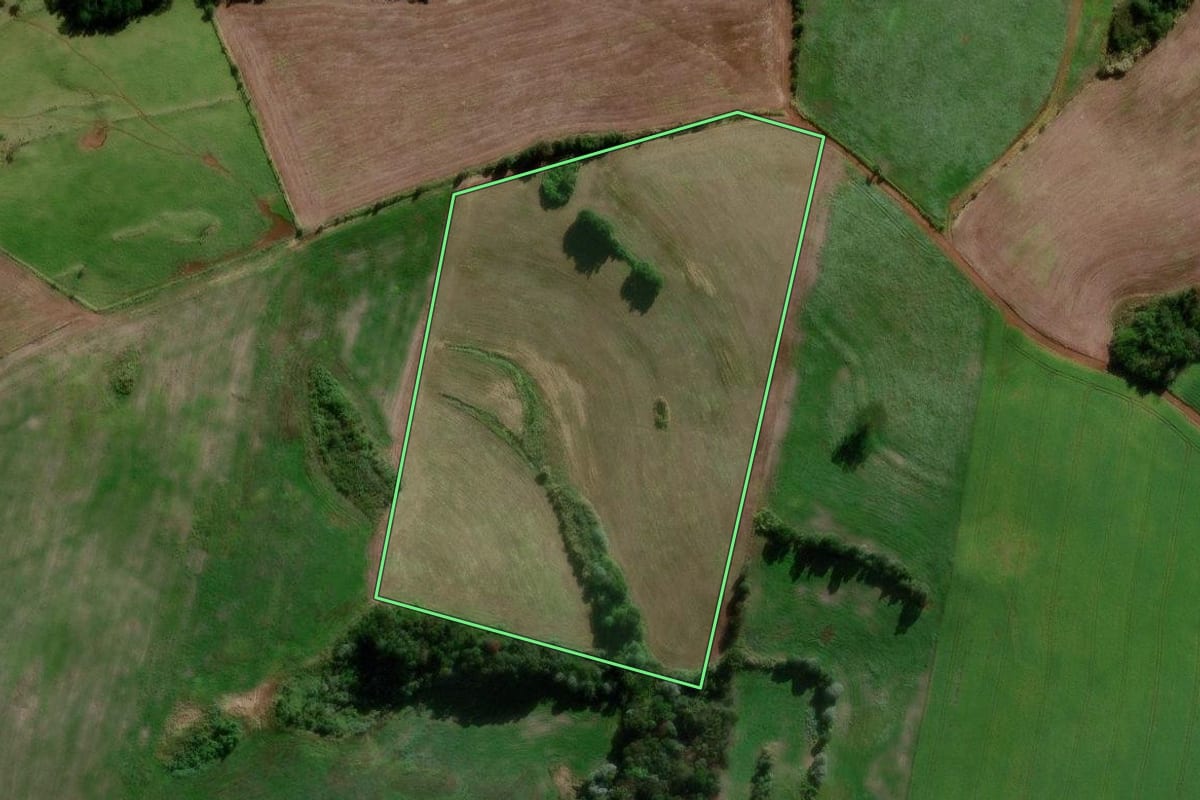 Imagem de satélite do imóvel rural em Chopinzinho (PR), com o contorno declarado no CAR desenhado por cima.